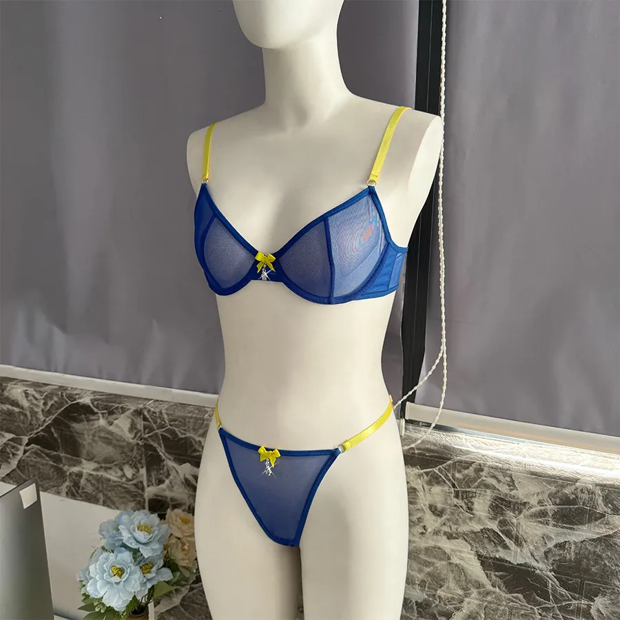 Wholesale Transparent Mesh Underwear Set for Woman Sexy Contrast Color 2PCS Lingerie