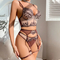 Sexy Fishbone Embroidered Lace Bra Panty Sets New Fashion See-Through Mesh Lingerie