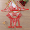 Sexy Erotic Transparent Woman Newest Underwear Set Hot Selling Embroidery Lingerie