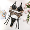 Sexy Leopard Print Woman's Underwear Set Hot Sale Eyelash Lace Ultra Thin Lingerie