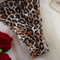 Sexy See-Through Woman Bra and Panty Set High Quality Leopard Print 2 PCS Lingerie