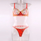Wholesale Floral Embroidery Transparent Underwear Set Sexy 2 Piece Ladies Lingerie