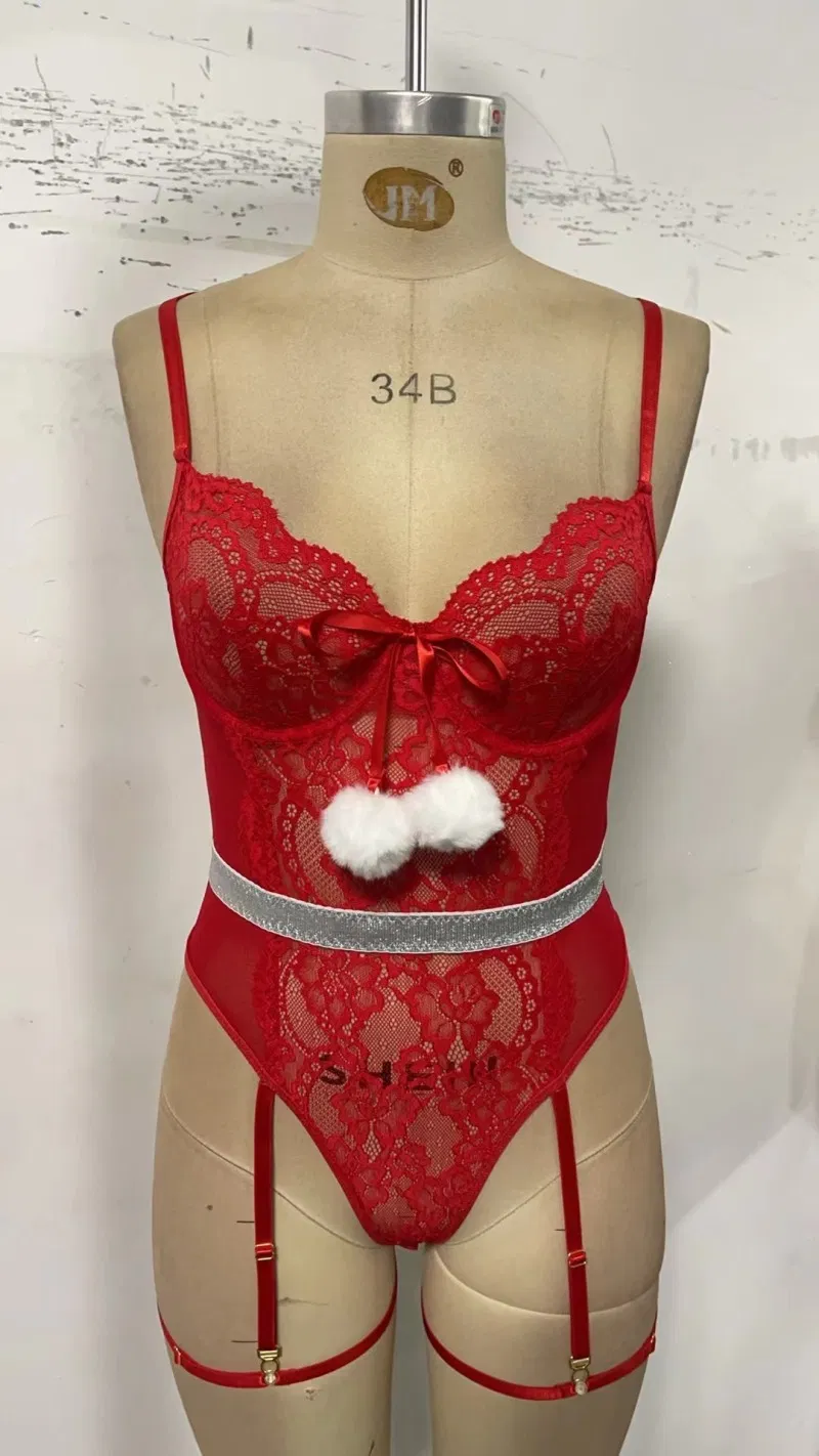 Sexy Embroidered Woman's Underwear Set Wholesale High Quality Christmas One Piece Lingerie