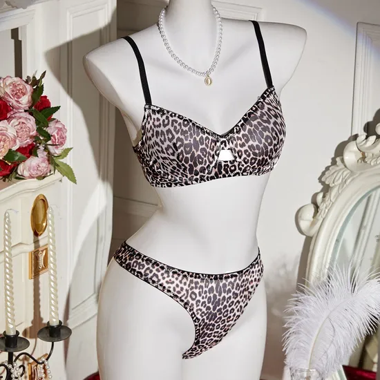 Wholesale Transparent Leopard Print Two-Piece Bra Set Sexy Thin Woman Lingerie