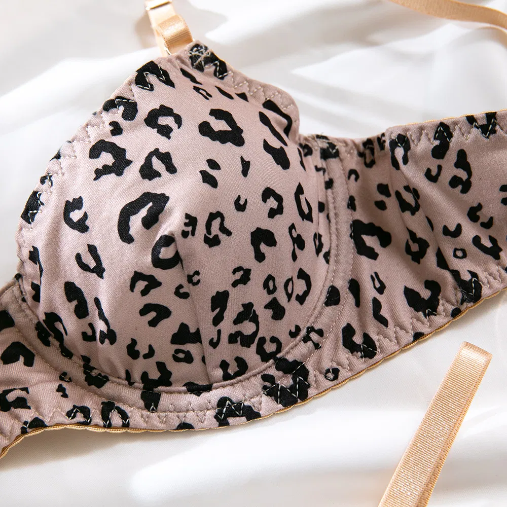 Sexy Leopard Print 2PCS Woman Underwear Set Wholesale Transparent Thin Cup Lingerie
