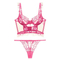 Sexy Wholesale Underwear Embroidered French Ultra-Thin Set for Women Lace Soft Bra Lingerie