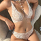 Wholesale French See-Through Lace Breathable Deep V Ultra-Thin for Women Soft Sexy Bra Set Underwear Lingerie