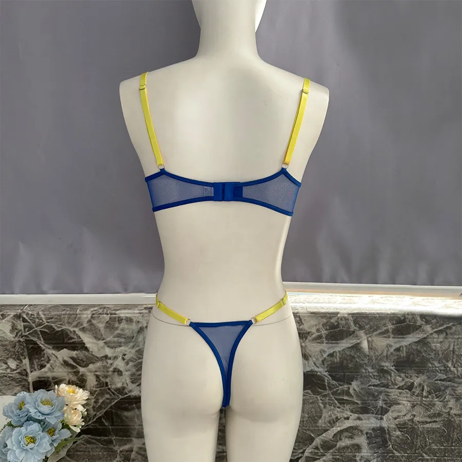 Wholesale Transparent Mesh Underwear Set for Woman Sexy Contrast Color 2PCS Lingerie