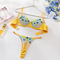 Sexy Satin Stitching See Through Underwear Set Wholesale Embroidery Color Contrast Lingerie
