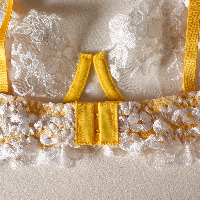 Hot Embroidery Color Matching Women Bra Set Sexy See-Through Luxury Lingerie
