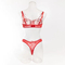 New Floral Embroidery Ultra Thin 2PCS Underwear Set for Woman Sexy Transparent Lingerie