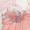 Sexy Ultra-Thin See-Through Bra and Panty Set New Embroidery Two-Piece Lingerie