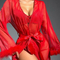 Sexy Embroidered Women Bra Set with See-Through Robe High Quality Christmas Lingerie