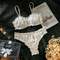 Sexy Ultra-Thin Underwear Set with Ruffles Shirring New Fashion Floral Print Woman Lingerie