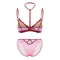 New French Mesh Embroidered Ultra-Thin Gathering Bra Set High Split Halte Underwear Sexy Lingerie