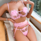 New Arrival See-Through Mesh Ruffle Bra Panty Set Wholesale Sexy Hollow out Lingerie