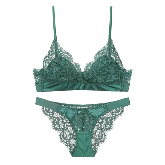 New Wholesale Seduction Triangular Cup Lace for Women Bra Breathable Ultra-Thin Sexy Underwear Set Lingerie