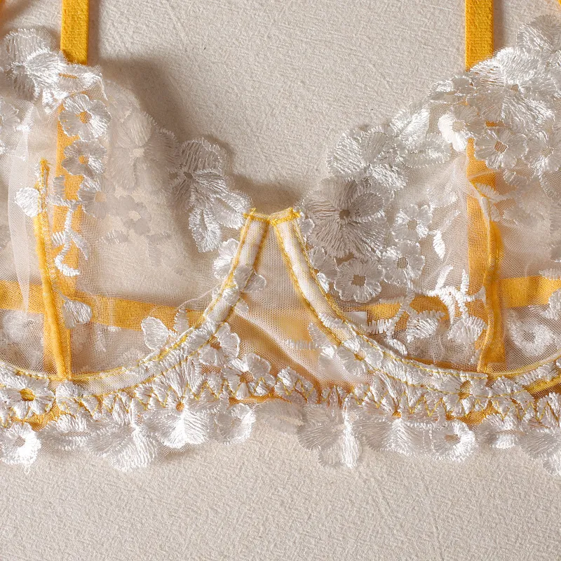 Hot Embroidery Color Matching Women Bra Set Sexy See-Through Luxury Lingerie