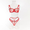 New Floral Embroidery Ultra Thin 2PCS Underwear Set for Woman Sexy Transparent Lingerie
