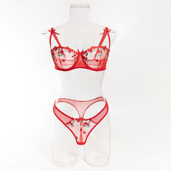 New Floral Embroidery Ultra Thin 2PCS Underwear Set for Woman Sexy Transparent Lingerie