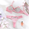 Sexy See-Through Mesh Pink Floral Embroidery Bra Set Hot Selling Women Lingerie