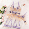 Sexy See-Through Mesh Small Skirt Bra and Panties Set Wholesale Embroidery Lace Lingerie