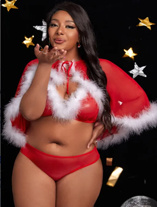Sexy Perspective Mesh Underwear Set with Robe Wholesale Christmas Woman's Lingerie