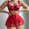 Sexy Embroidery Underwear Set for Woman Wholesale Perspective Mesh Lingerie