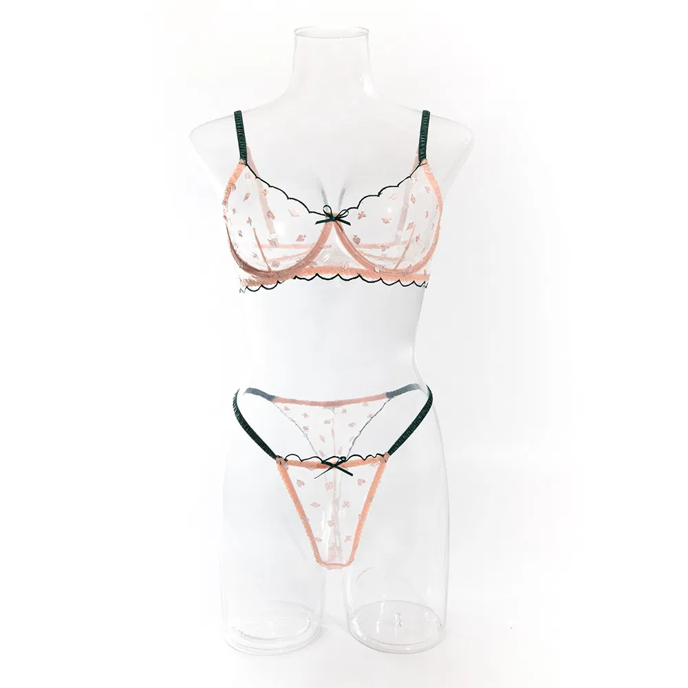 Wholesale Contrast Color Thin Woman Bra Set Sexy Transparent Mesh Thin Woman Lingerie