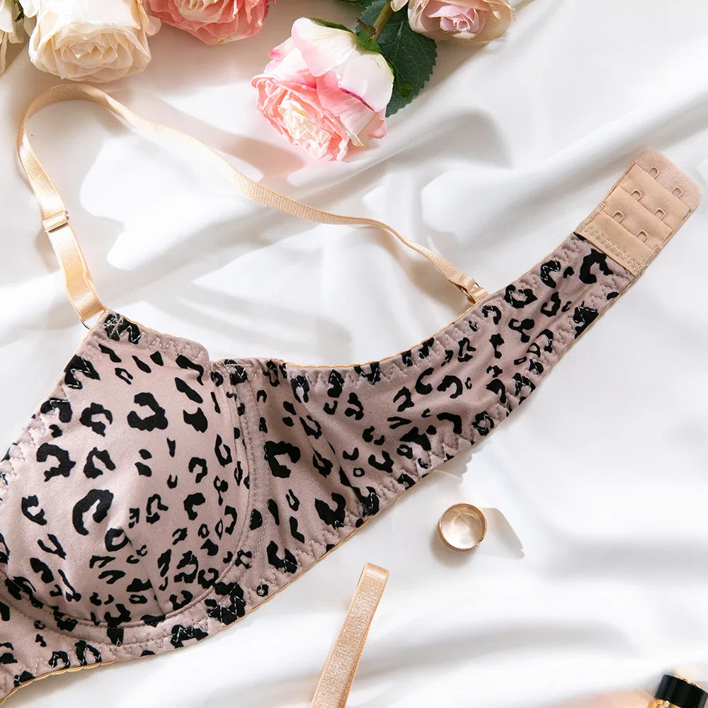 Sexy Leopard Print 2PCS Woman Underwear Set Wholesale Transparent Thin Cup Lingerie