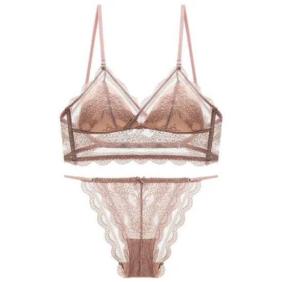 Wholesale Underwear French U-Shaped Triangular Cup Lace Ultra-Thin Romantic for Women Soft Sexy Bra Set Lingerie