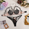 Wholesale See Through Mesh Embroidery Women's Bra Panty Sets Sexy Cross-Strap Lingerie