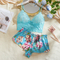 Wholesale Satin Embroidered Lace Underwear Set for Woman Sexy Short Sleeve Two-Piece Lingerie