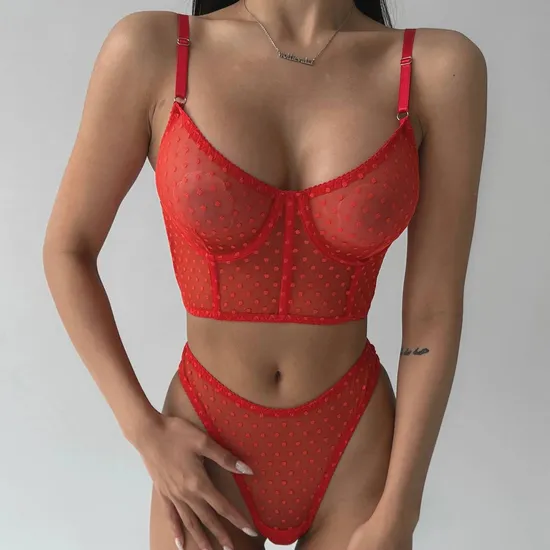 Sexy Fish-Bone Women's Underwear Set Wholesale See-Through Polka Dots Mesh Lingerie