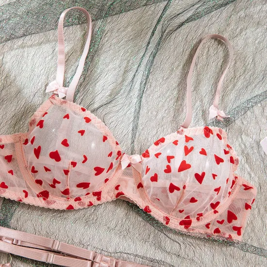 Sexy See-Through Women Bra Set with Embroidery New Red Heart Pattern Lingerie Set
