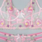 Wholesale Floral Embroidery See-Throug Underwear Set for Woman Sexy Fishbone Lingerie