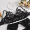 Sexy Luxury Perspective Mesh Underwear Set Wholesale Embroidered Woman's Lingerie