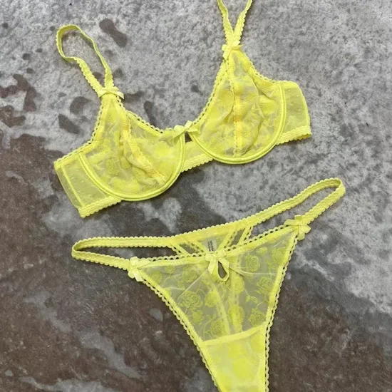 Hot Sell Underwear Wholesale French Mesh Lace Ultra-Thin Romantic for Women Soft Bra Sexy Set Lingerie