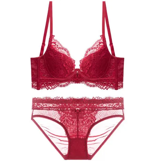 2025 New French Wholesale Embroidery Lace Trim Sexy Breathable Bra Ultra-Thin Halter Neck Set Underwear Lingerie