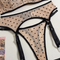 Wholesale Polka DOT Underwear Set for Woman Sexy See-Through Mesh Lingerie